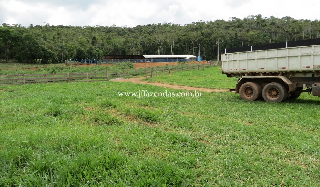 Sitio em Pedro Teixeira – MG – 69,71 hectares