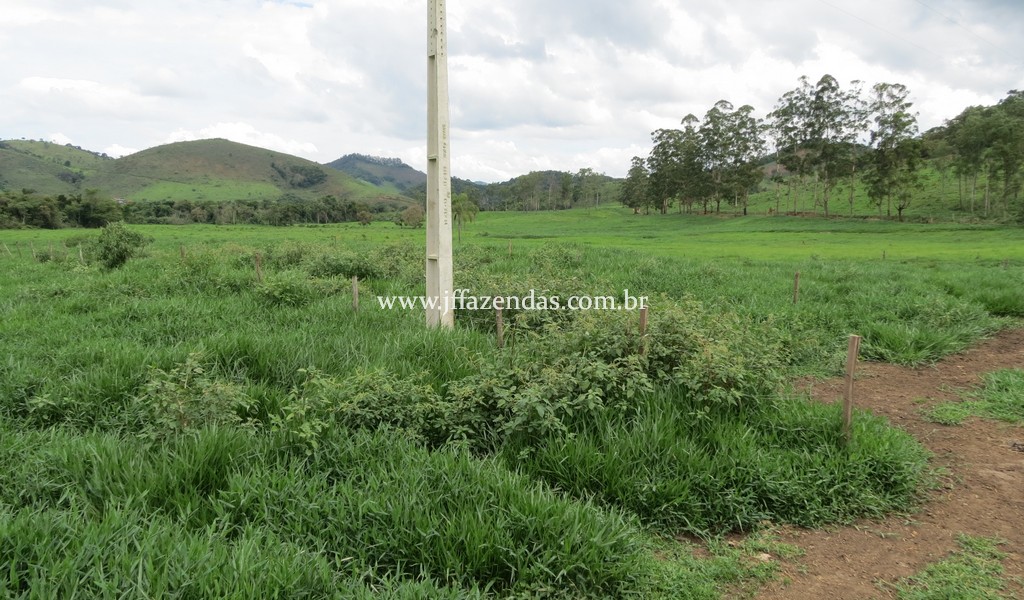 Sitio em Pedro Teixeira – MG – 69,71 hectares