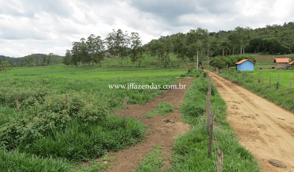 Sitio em Pedro Teixeira – MG – 69,71 hectares