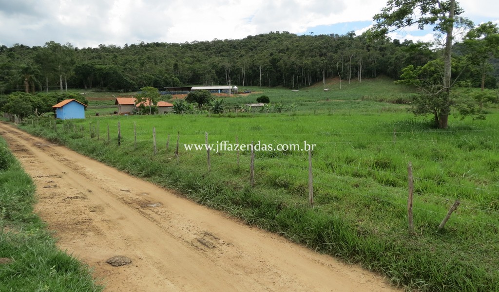 Sitio em Pedro Teixeira – MG – 69,71 hectares