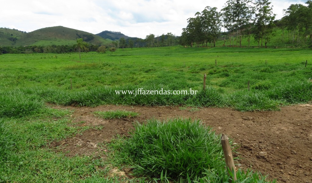 Sitio em Pedro Teixeira – MG – 69,71 hectares