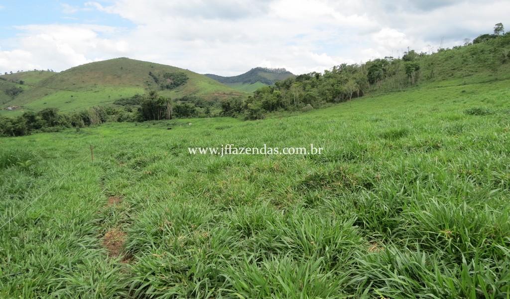 Sitio em Pedro Teixeira – MG – 69,71 hectares