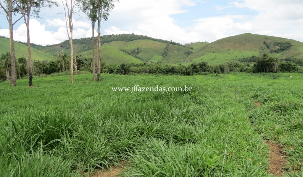 Sitio em Pedro Teixeira – MG – 69,71 hectares