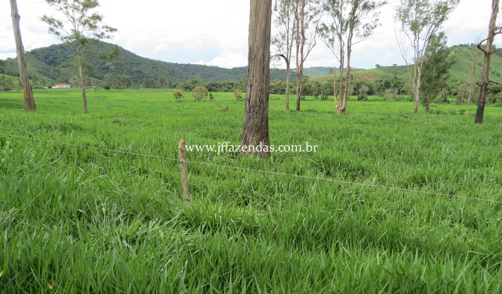 Sitio em Pedro Teixeira – MG – 69,71 hectares