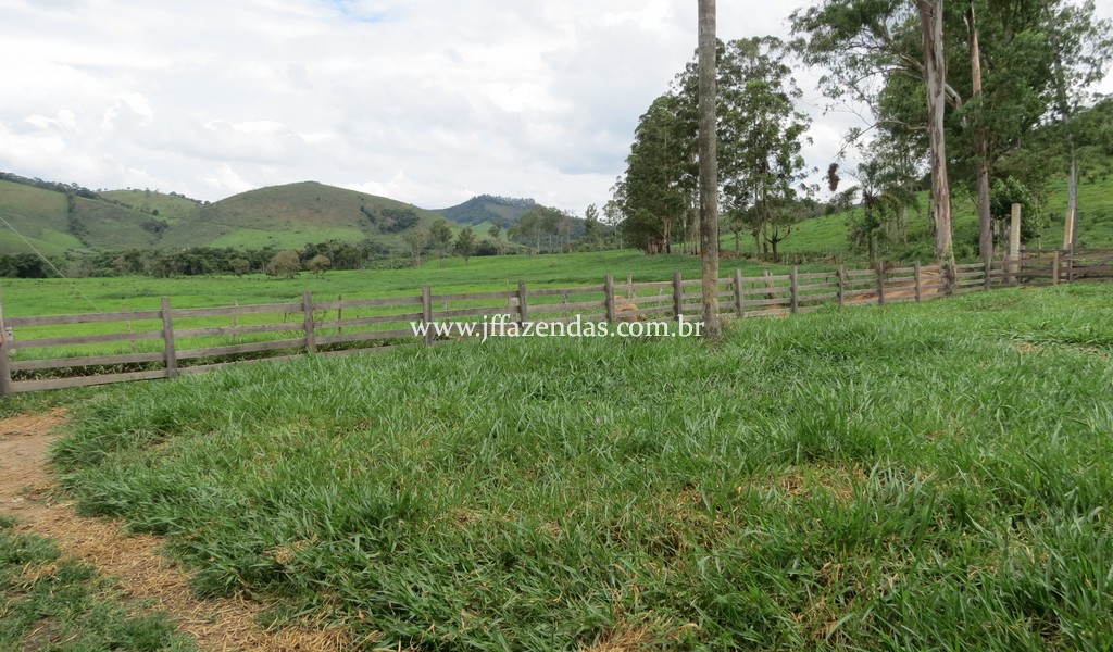 Sitio em Pedro Teixeira – MG – 69,71 hectares