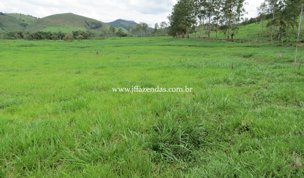 Sitio em Pedro Teixeira – MG – 69,71 hectares