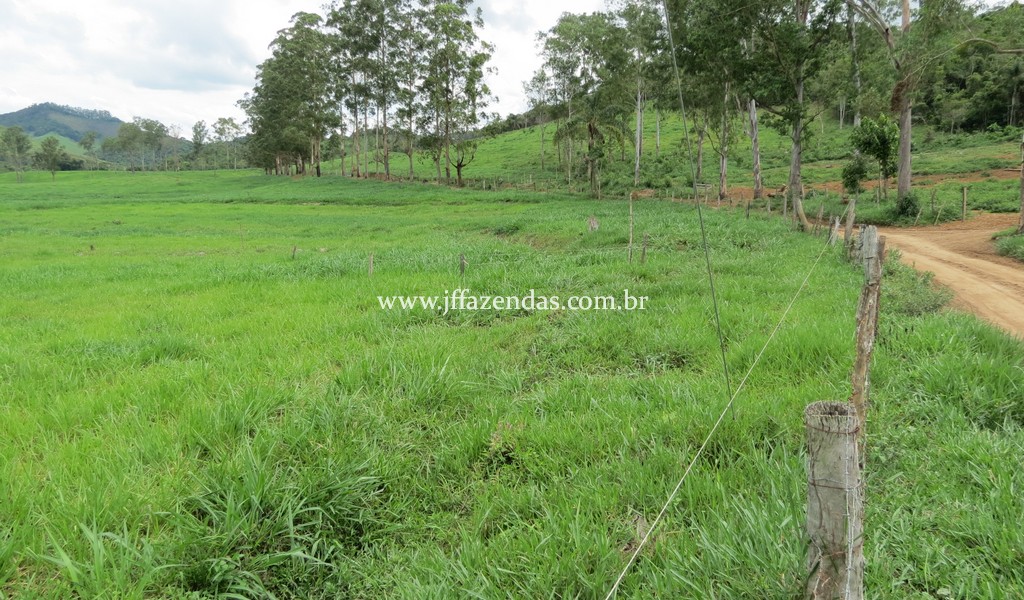 Sitio em Pedro Teixeira – MG – 69,71 hectares