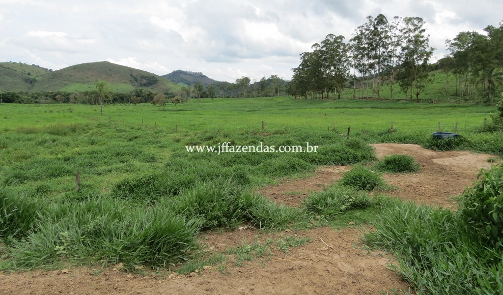 Sitio em Pedro Teixeira – MG – 69,71 hectares