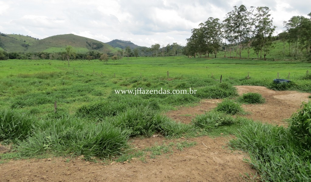 Sitio em Pedro Teixeira – MG – 69,71 hectares