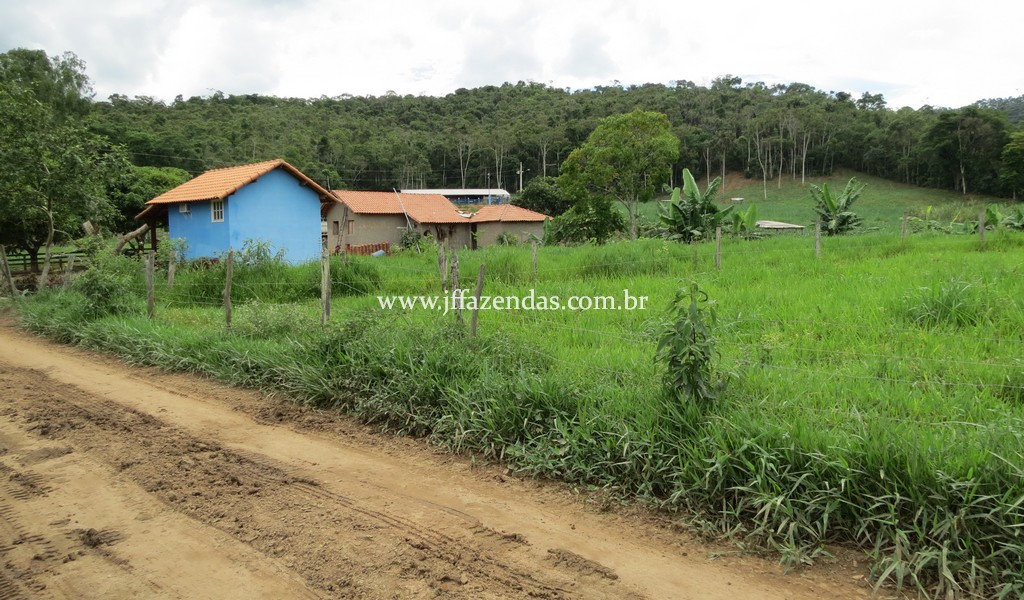 Sitio em Pedro Teixeira – MG – 69,71 hectares