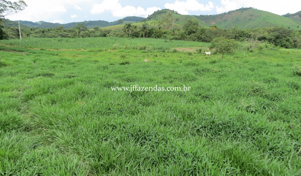 Sitio em Pedro Teixeira – MG – 69,71 hectares