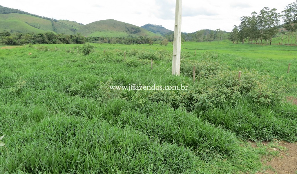 Sitio em Pedro Teixeira – MG – 69,71 hectares