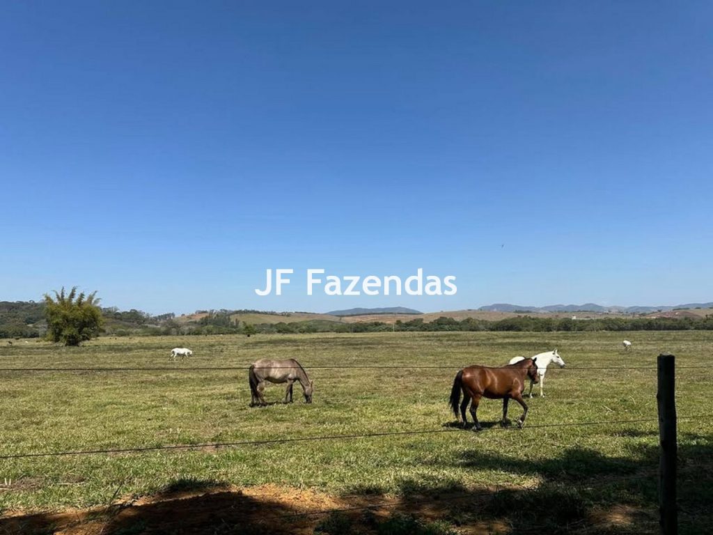 Fazenda na região de Juiz de Fora -MG – 1.953 hectares