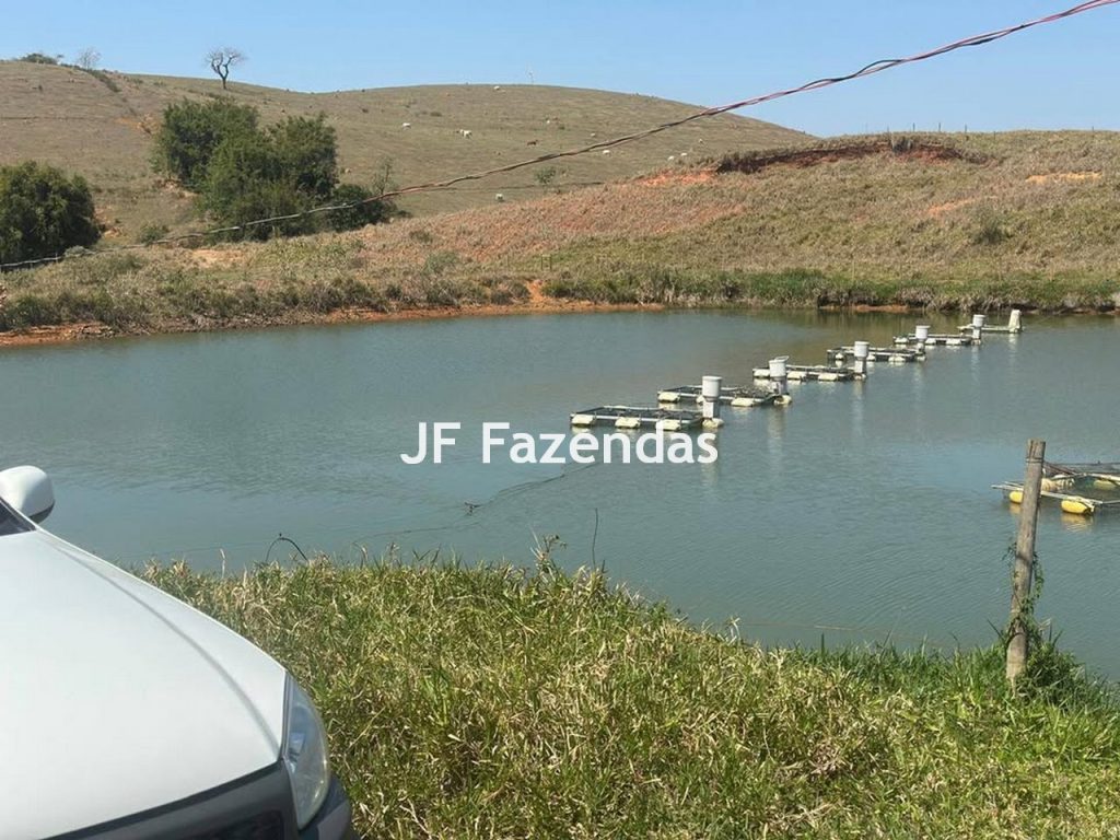 Fazenda na região de Juiz de Fora -MG – 1.953 hectares
