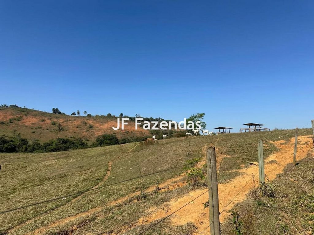 Fazenda na região de Juiz de Fora -MG – 1.953 hectares
