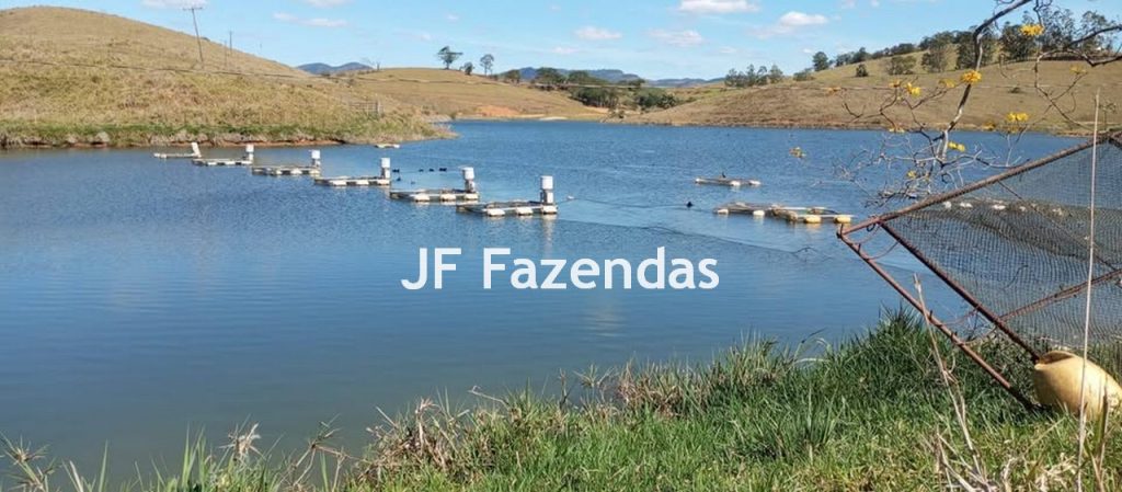 Fazenda na região de Juiz de Fora -MG – 1.953 hectares