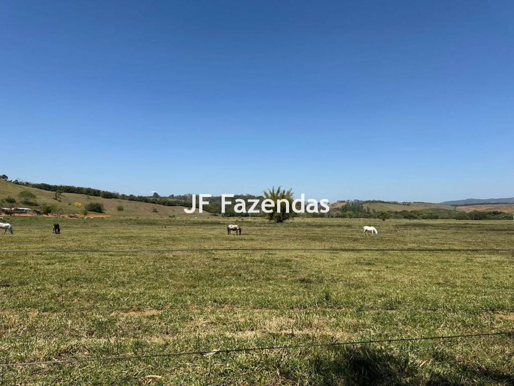 Fazenda na região de Juiz de Fora -MG – 1.953 hectares