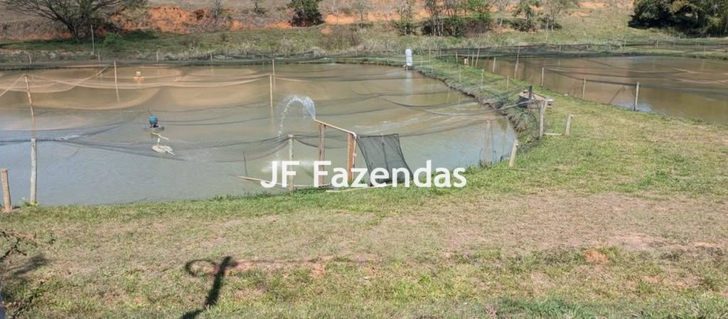 Fazenda na região de Juiz de Fora -MG – 1.953 hectares