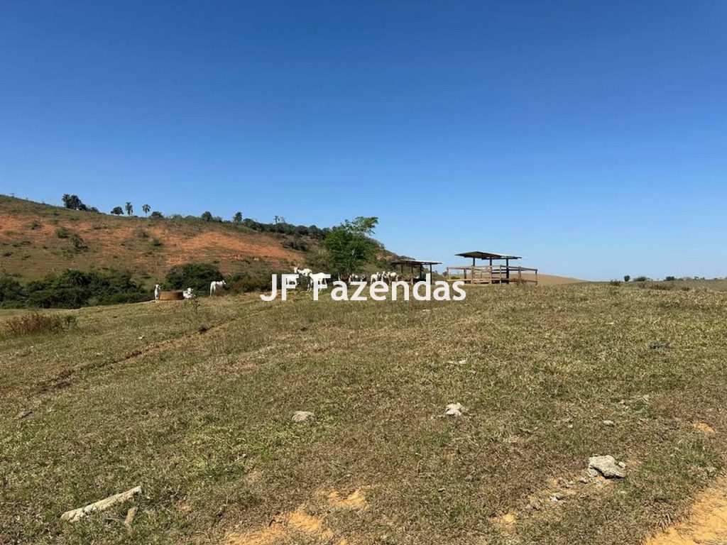 Fazenda na região de Juiz de Fora -MG – 1.953 hectares