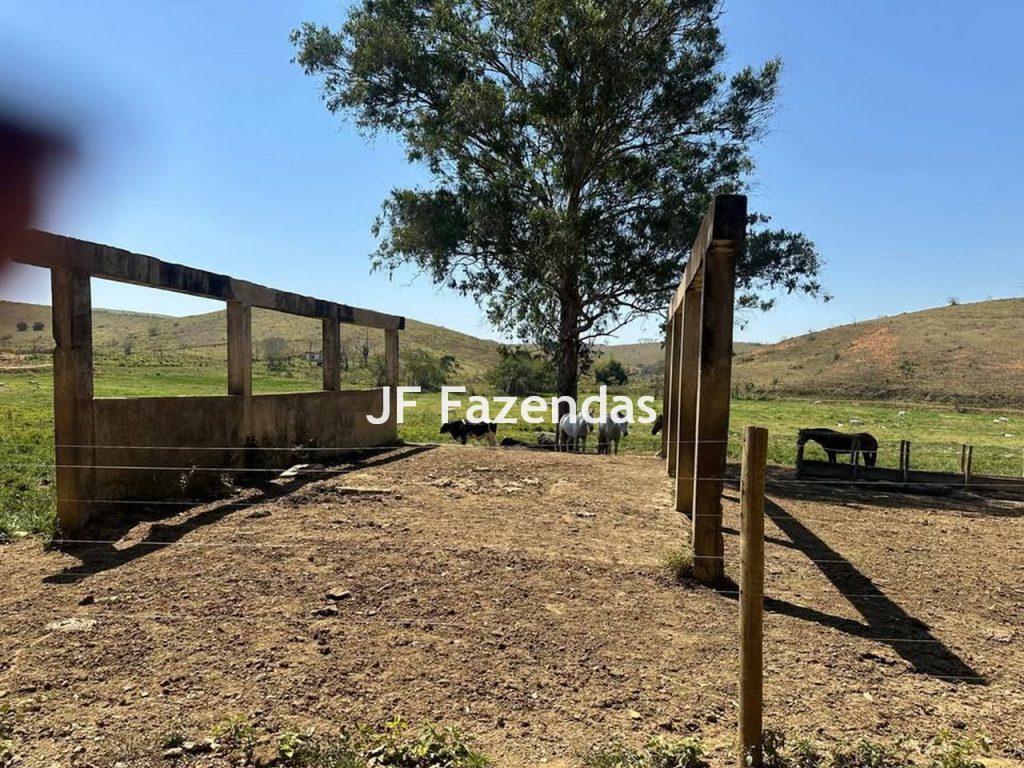 Fazenda na região de Juiz de Fora -MG – 1.953 hectares