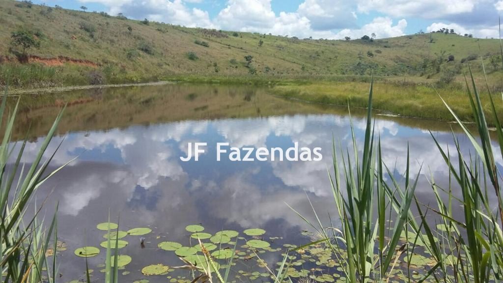 Fazenda na região de Juiz de Fora -MG – 1.953 hectares