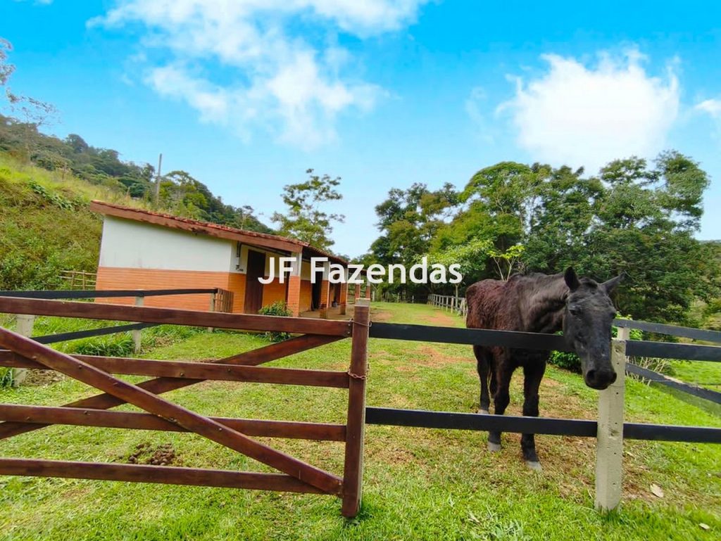 Sitio em Juiz de Fora/MG 5,5 hectares