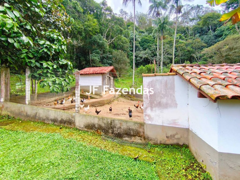 Sitio em Juiz de Fora/MG 5,5 hectares