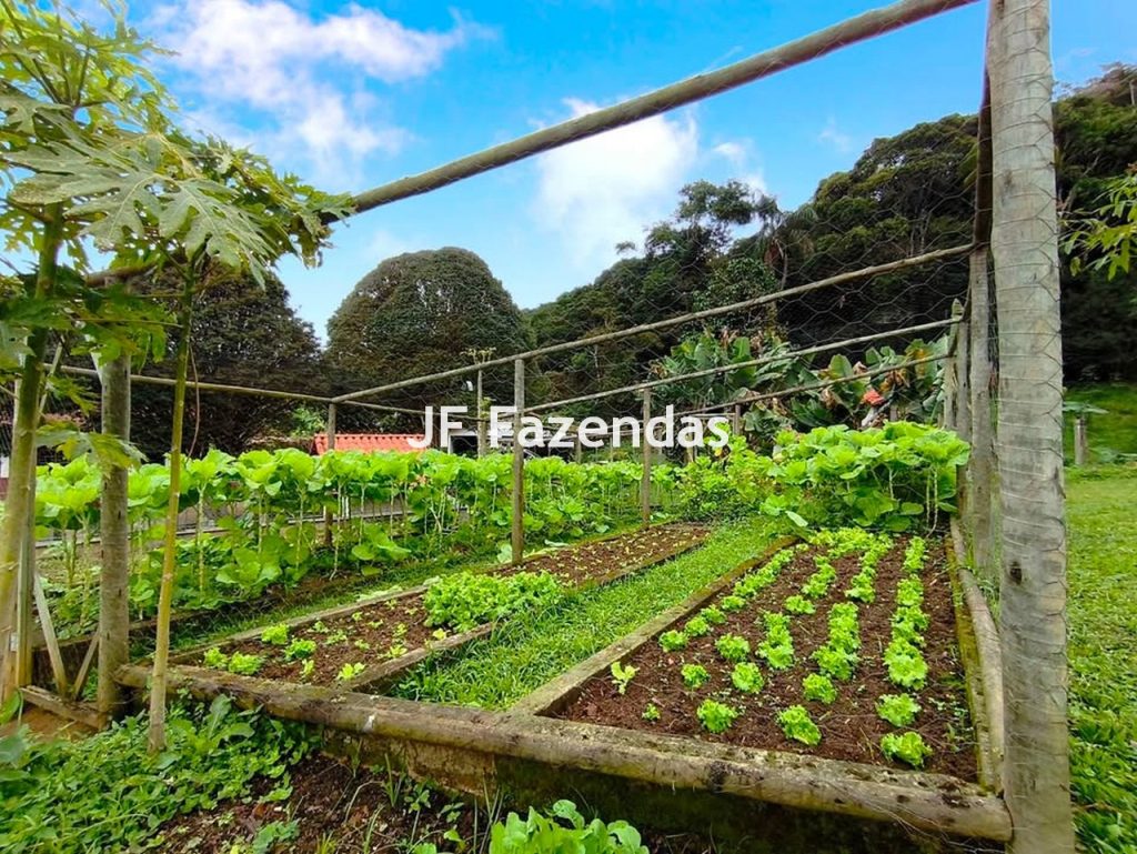 Sitio em Juiz de Fora/MG 5,5 hectares