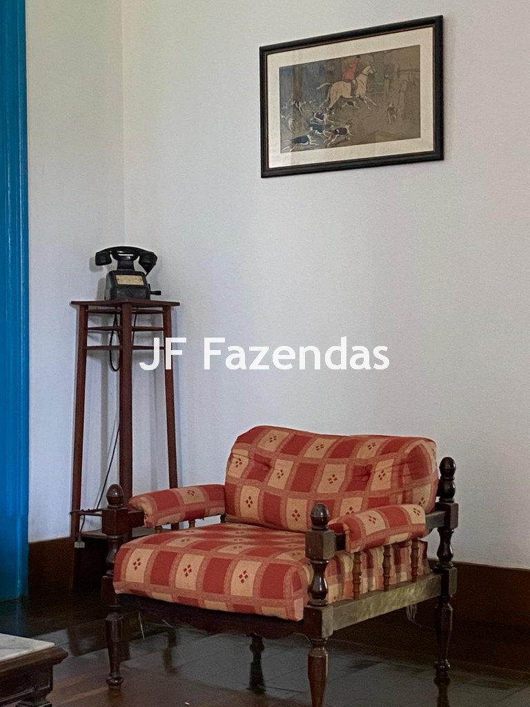 Fazenda em Rio Preto – MG | 384,87 Hectares