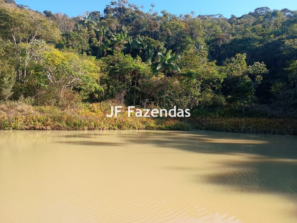 Sítio com 38,72 Hectares – Juiz de Fora/MG