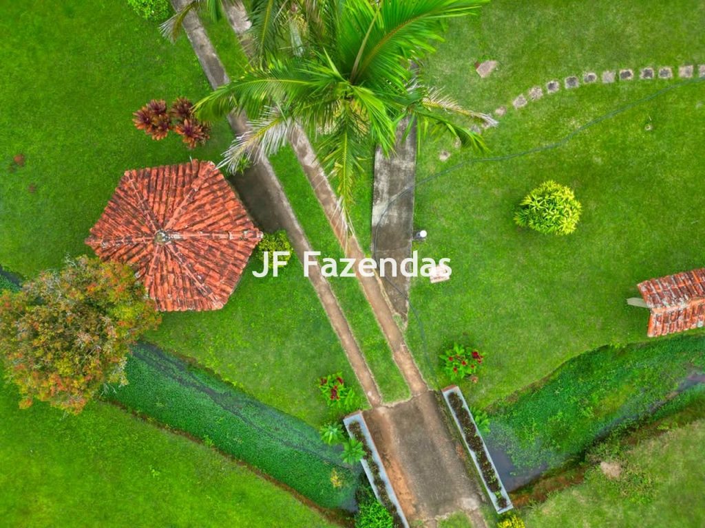 Sitio em Juiz de Fora/MG 5,5 hectares