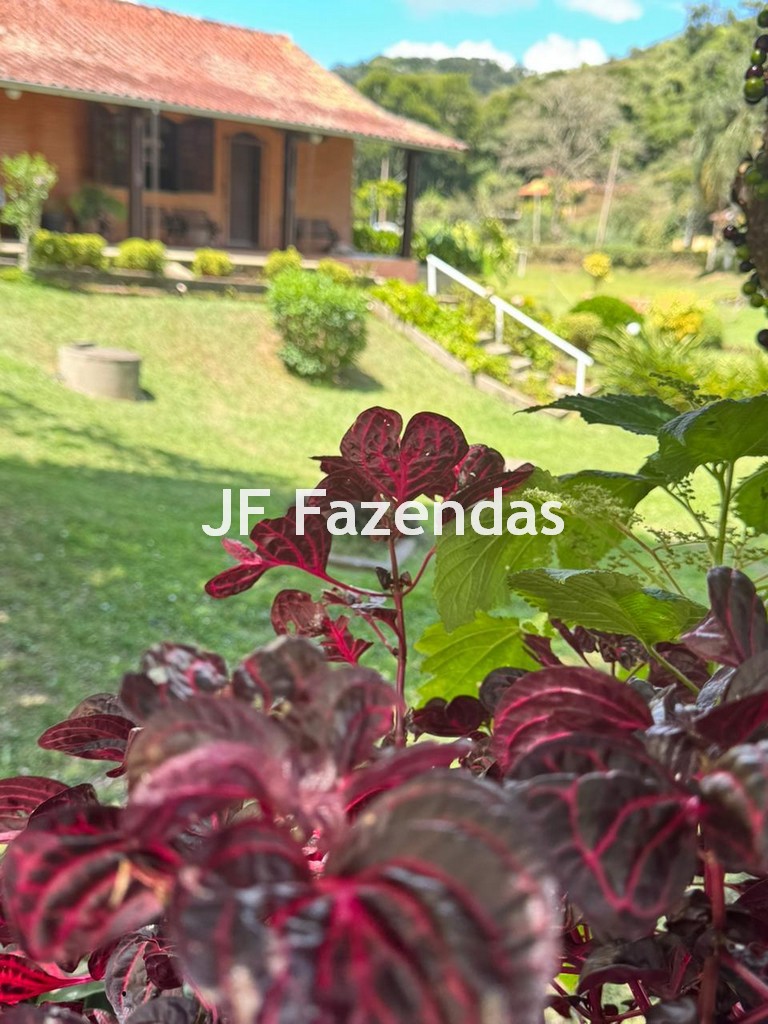 Sitio em Juiz de Fora/MG 5,5 hectares