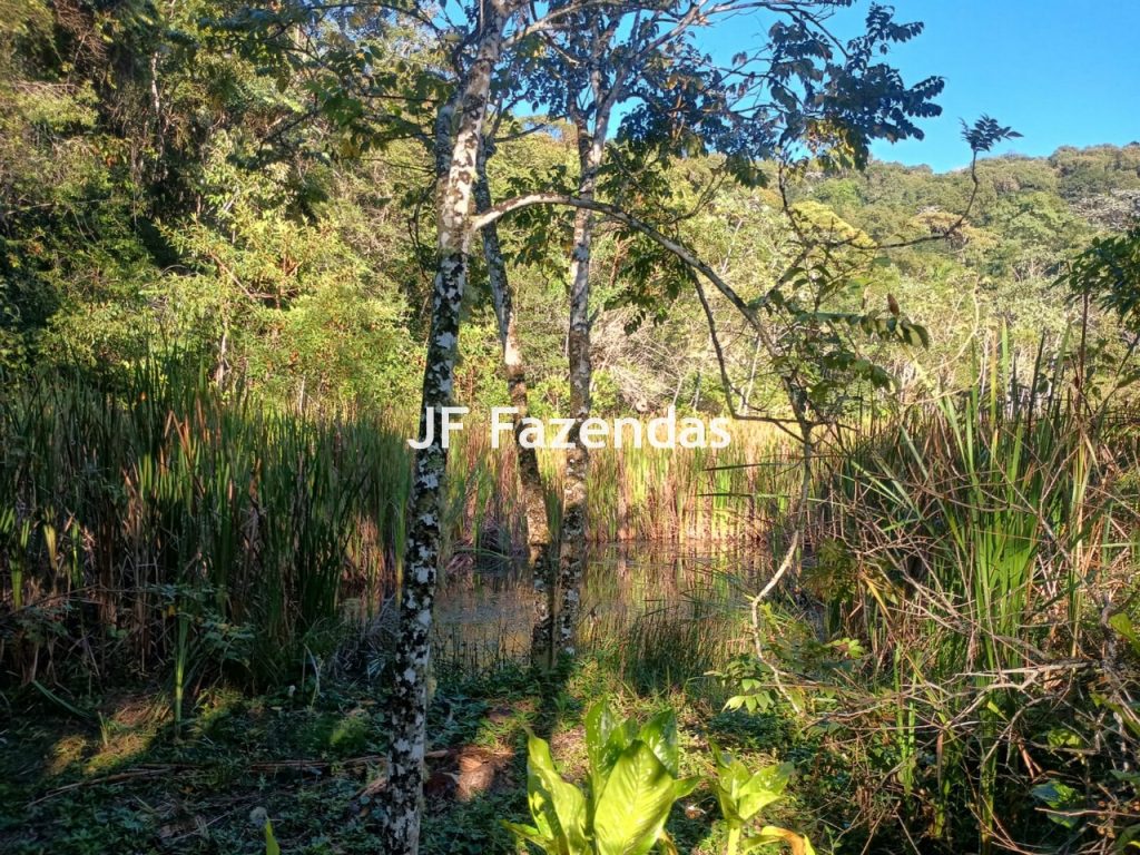 Sítio com 38,72 Hectares – Juiz de Fora/MG