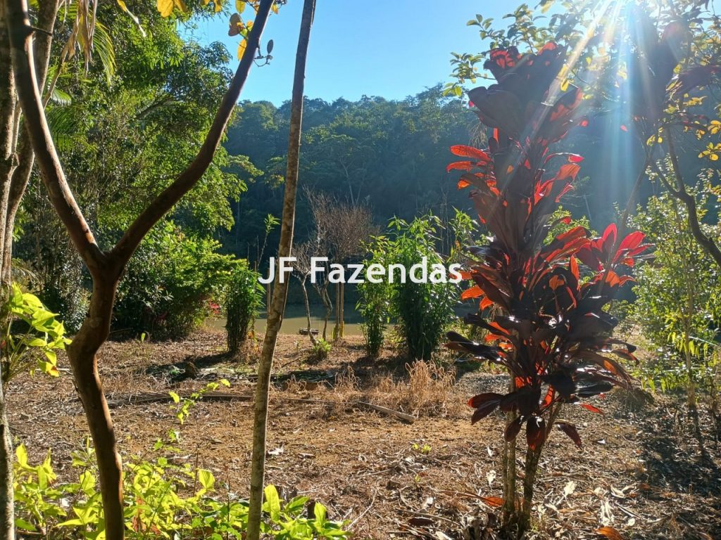 Sítio com 38,72 Hectares – Juiz de Fora/MG