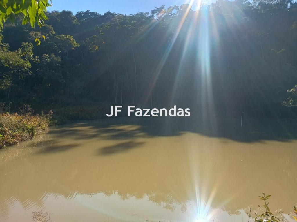 Sítio com 38,72 Hectares – Juiz de Fora/MG