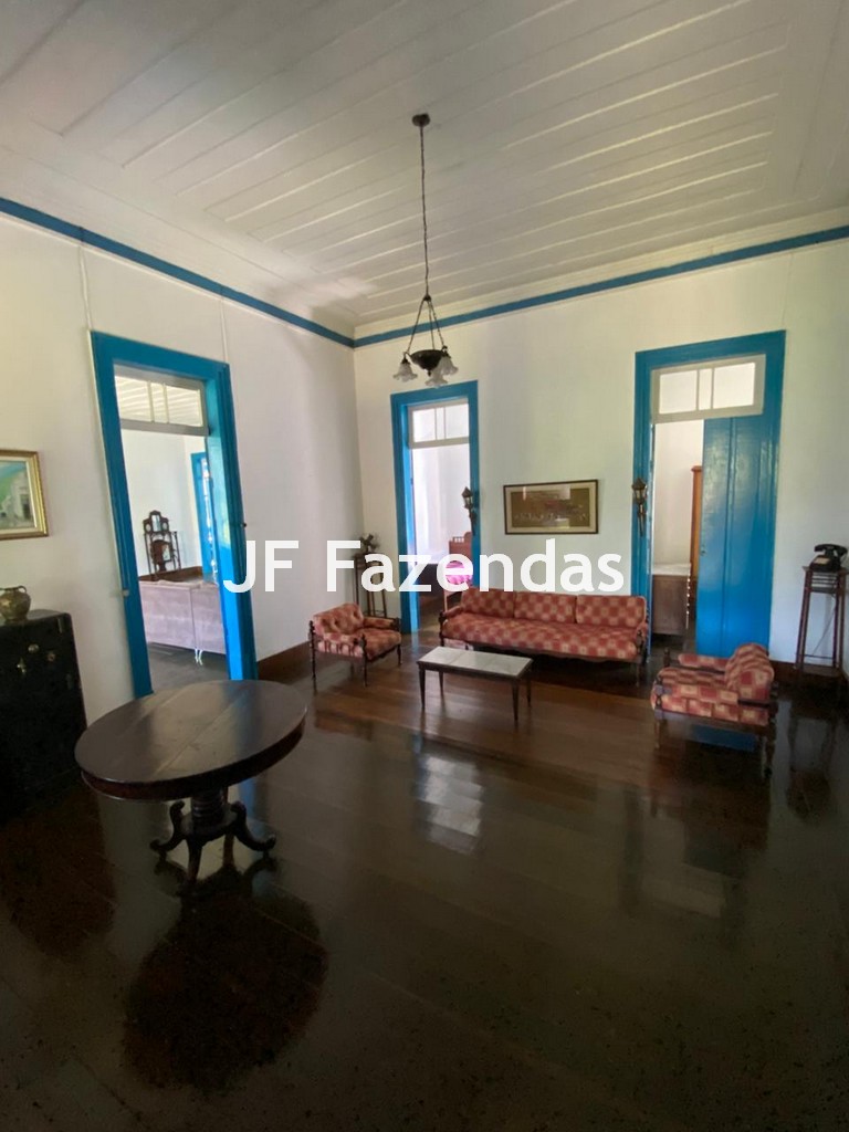 Fazenda em Rio Preto – MG | 384,87 Hectares