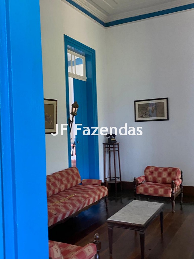 Fazenda em Rio Preto – MG | 384,87 Hectares