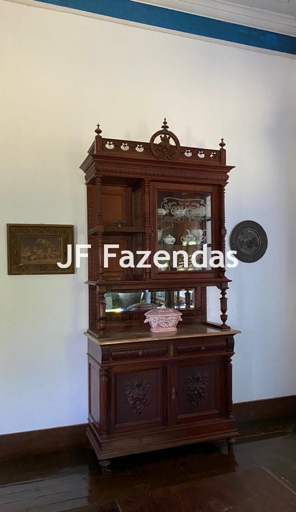Fazenda em Rio Preto – MG | 384,87 Hectares