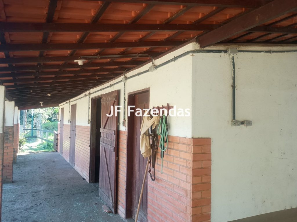 Sitio em Juiz de Fora/MG 5,5 hectares