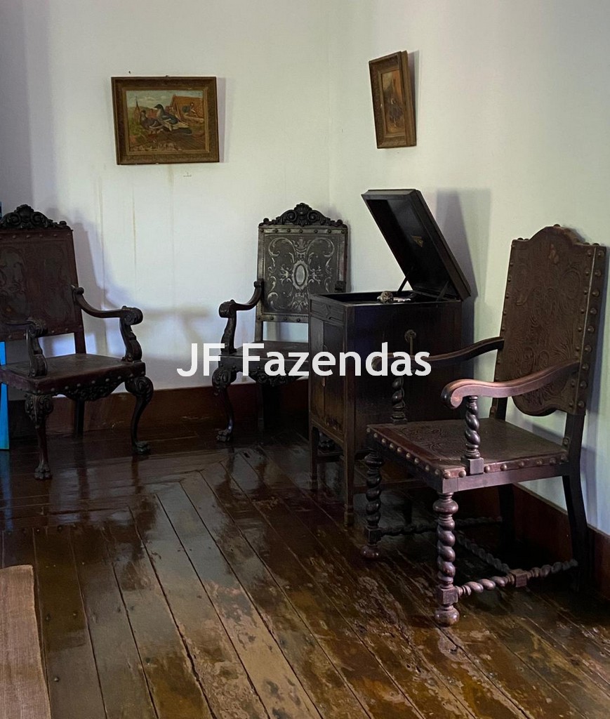 Fazenda em Rio Preto – MG | 384,87 Hectares