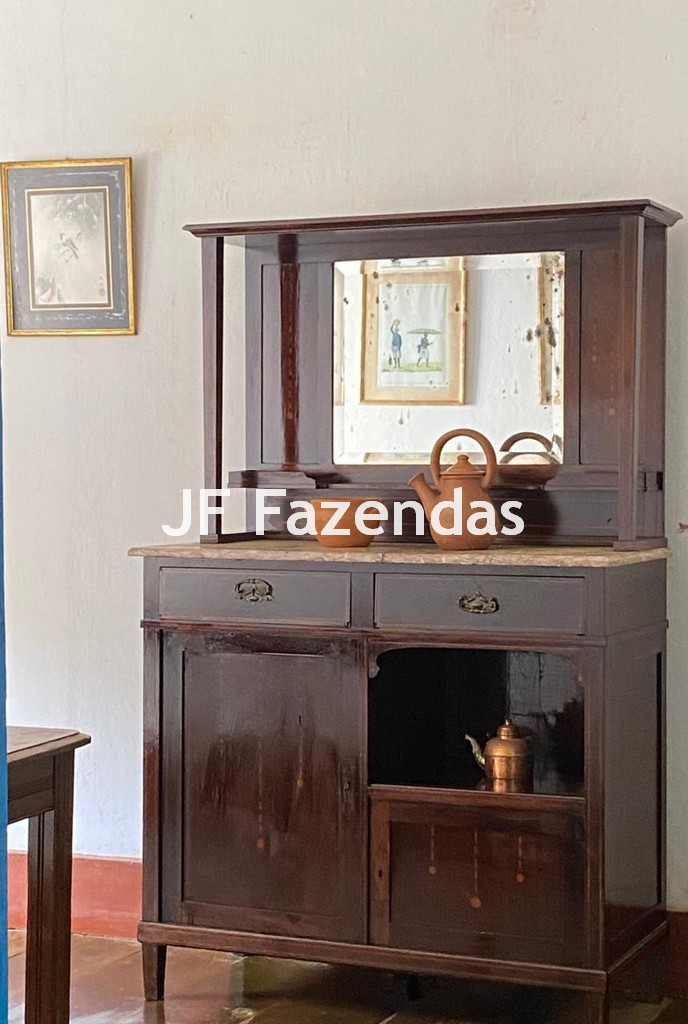 Fazenda em Rio Preto – MG | 384,87 Hectares