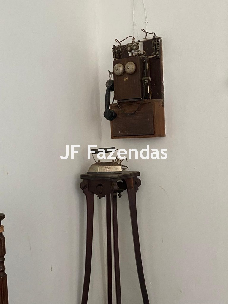 Fazenda em Rio Preto – MG | 384,87 Hectares