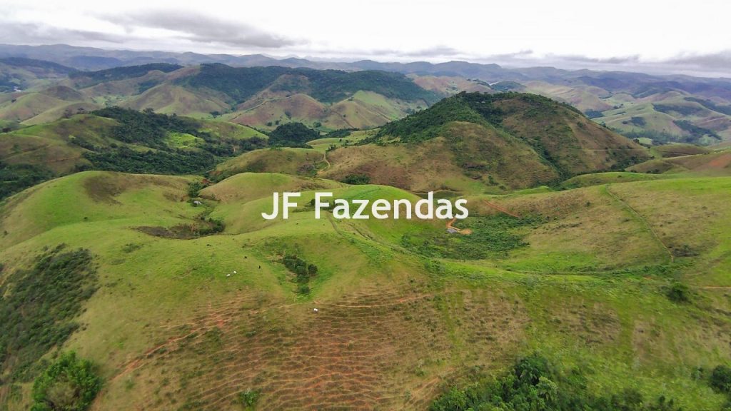 Fazenda em Rio Preto – MG | 384,87 Hectares