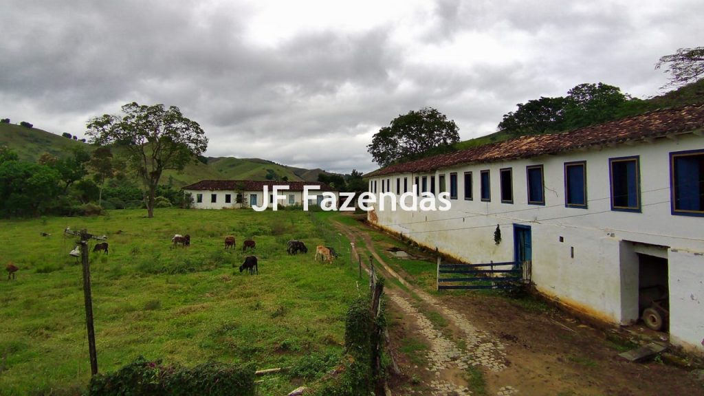 Fazenda em Rio Preto – MG | 384,87 Hectares
