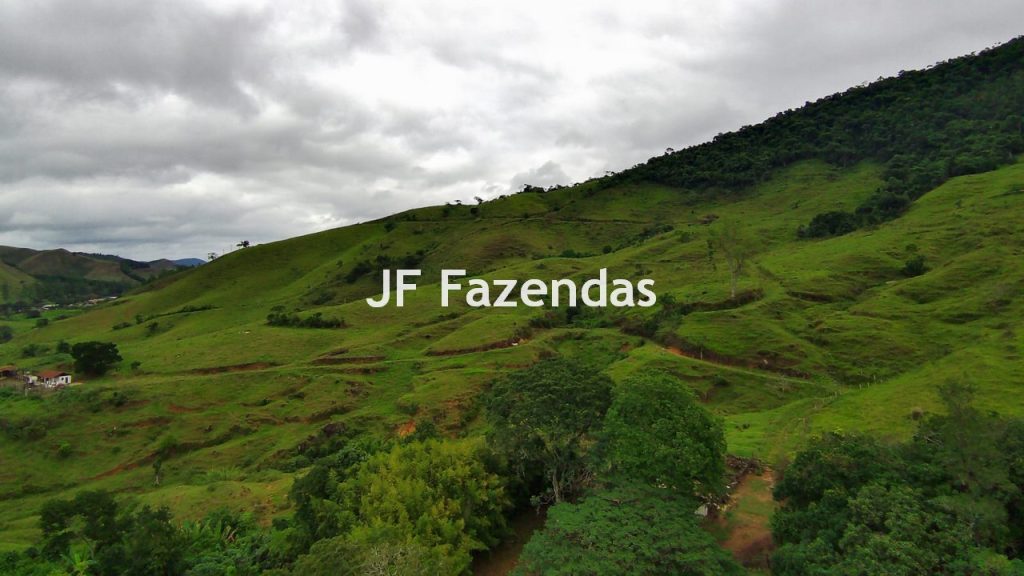 Fazenda em Rio Preto – MG | 384,87 Hectares