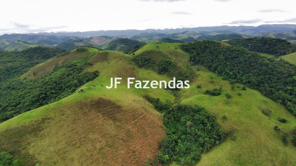 Fazenda em Rio Preto – MG | 384,87 Hectares