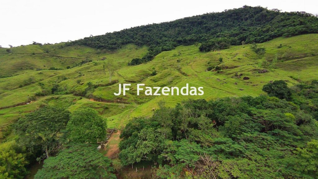 Fazenda em Rio Preto – MG | 384,87 Hectares