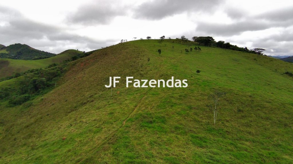 Fazenda em Rio Preto – MG | 384,87 Hectares