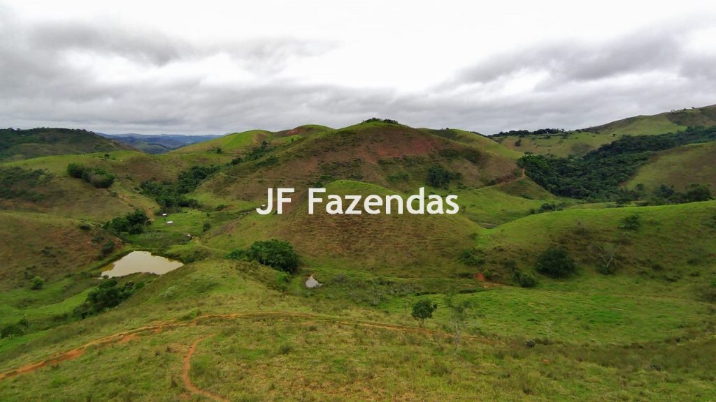 Fazenda em Rio Preto – MG | 384,87 Hectares