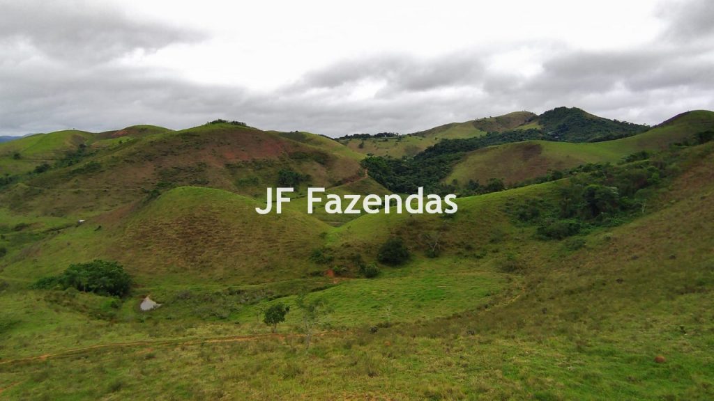 Fazenda em Rio Preto – MG | 384,87 Hectares